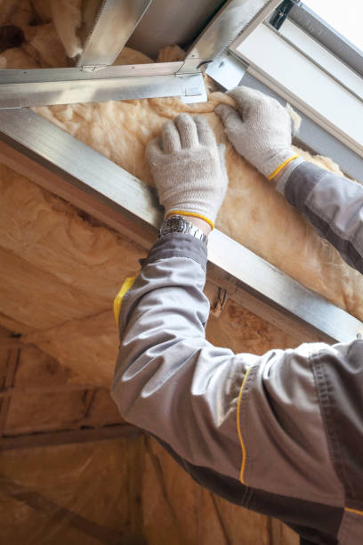 Types of Insulation We Offer in Weston Lakes, TX